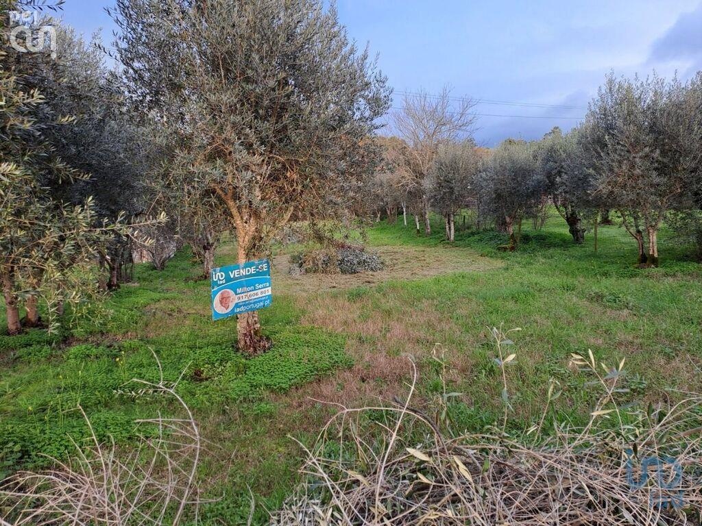 Plot / Land in Lousã, Coimbra