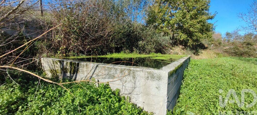 Plot / Land in Castro Daire, Viseu