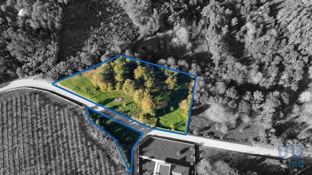 Plot / Land in Castro Daire, Viseu