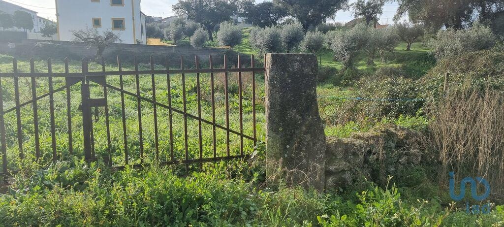 Plot / Land in Nisa, Portalegre