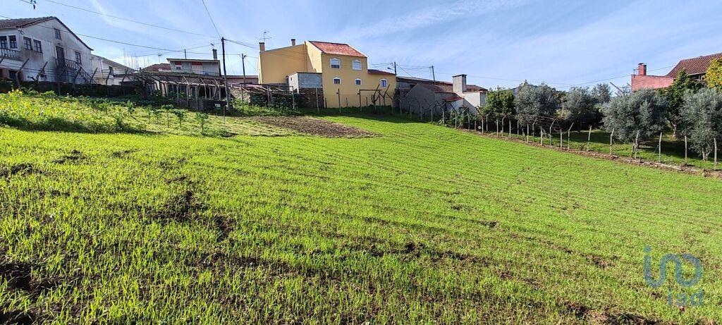Plot / Land in Figueiró dos Vinhos, Leiria
