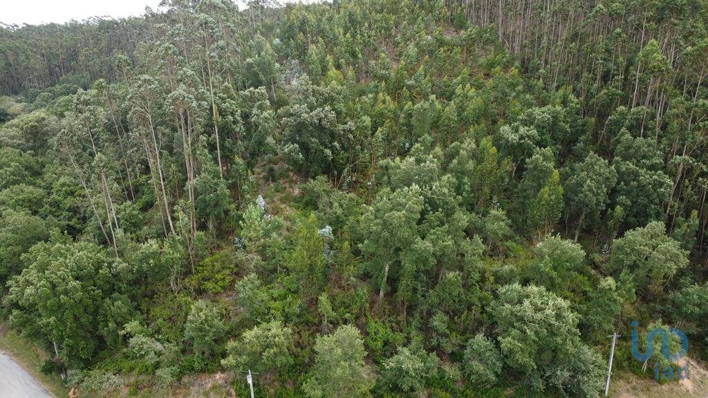 Plot / Land in Pombal, Leiria