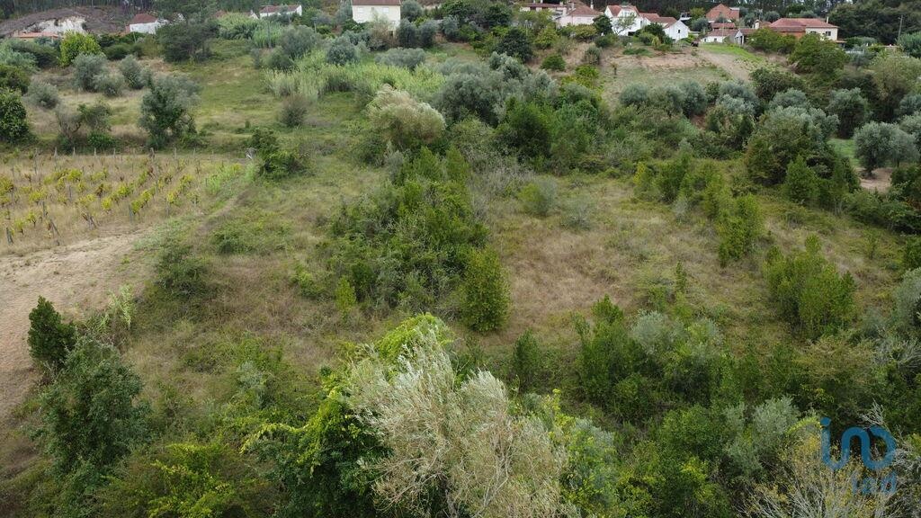 Plot / Land in Pombal, Leiria