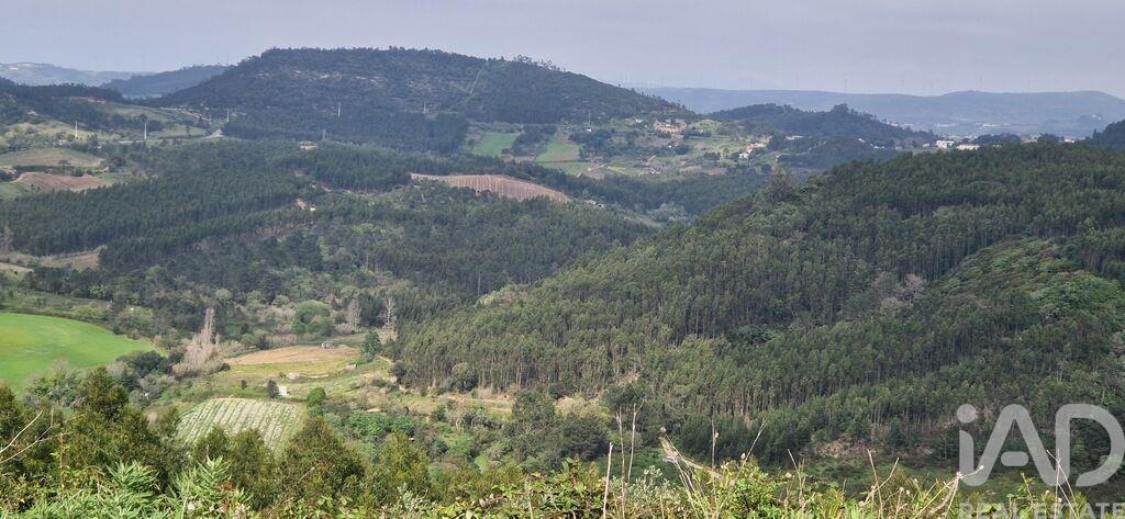 Plot / Land in Mafra, Lisboa