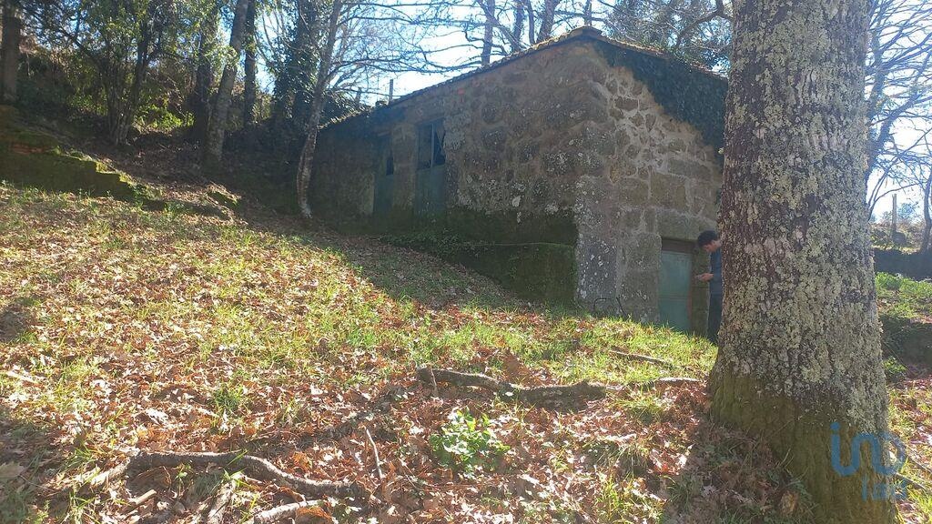Plot / Land in União das freguesias de Baião (Santa Leocádia) e Mesquinhata, Baião, Porto