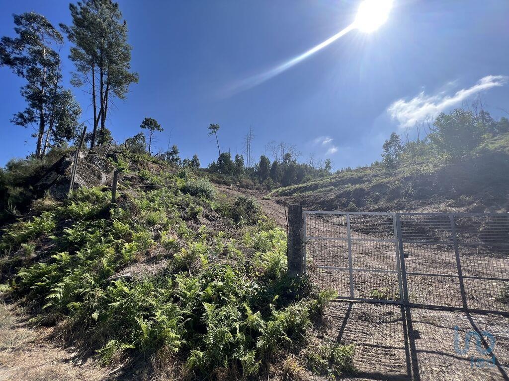 Plot / Land in União das freguesias de Amarante (São Gonçalo), Madalena, Cepelos e Gatão, Amarante, Porto