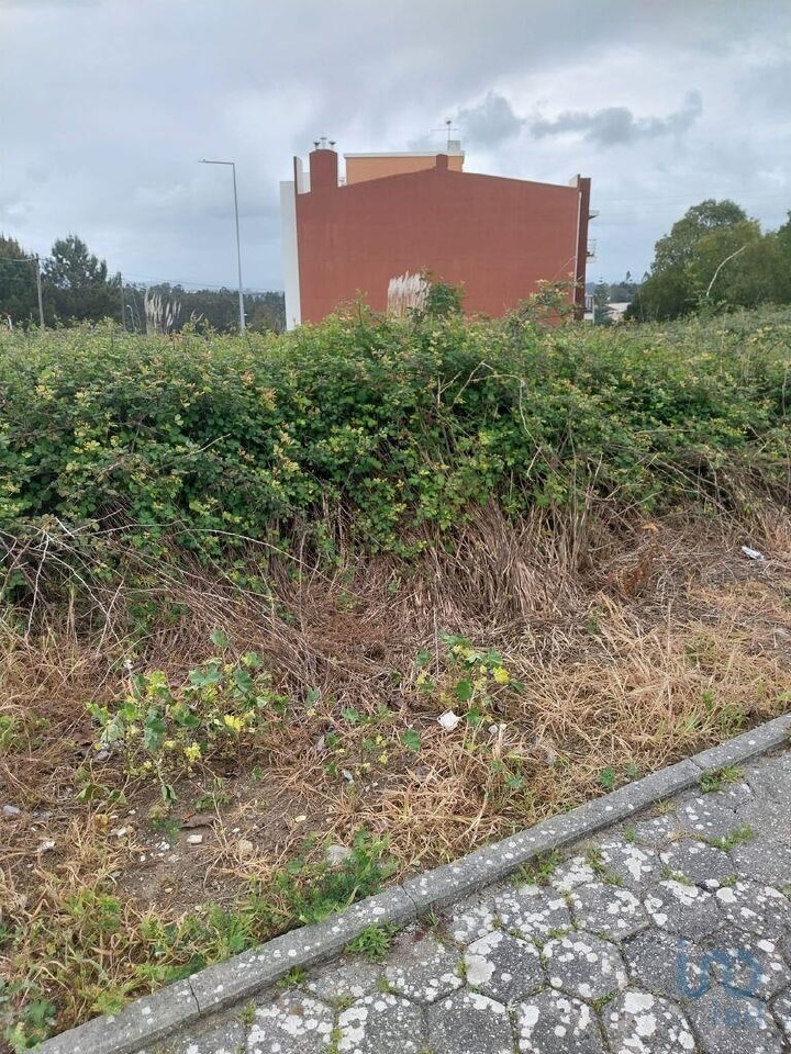 Plot / Land in Santa Maria da Feira, Aveiro