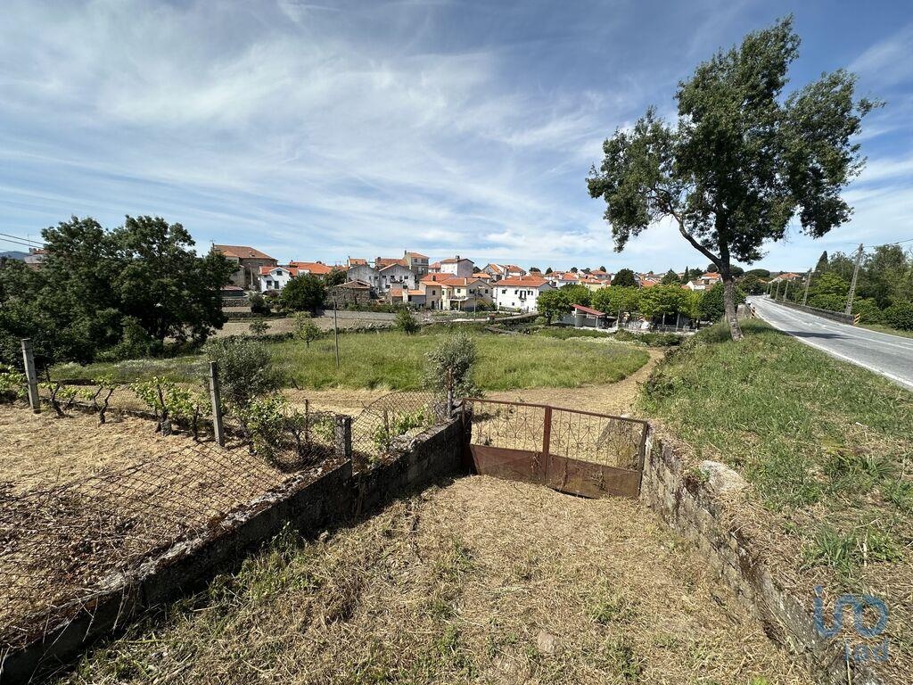 Plot / Land in Gouveia, Guarda