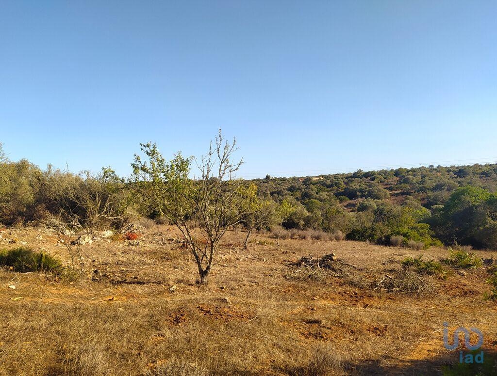 Perceel / Land in Lagos, Western Algarve