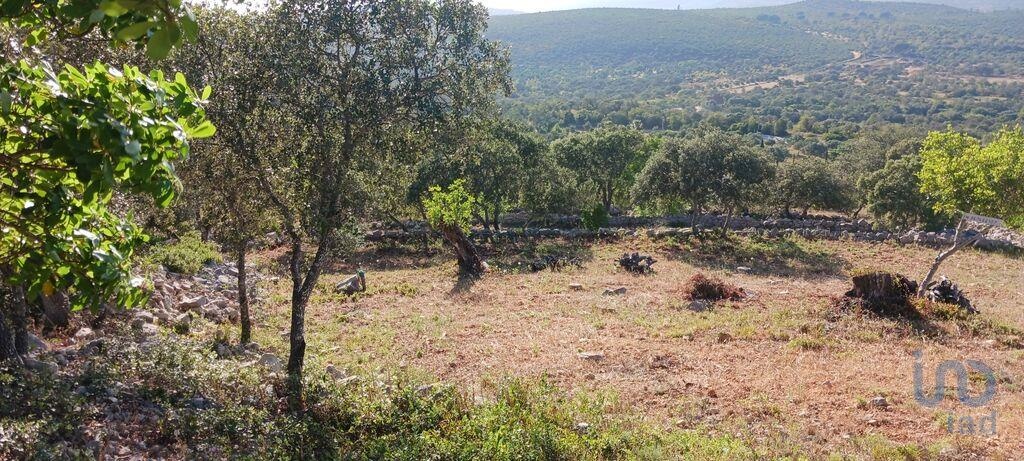 Plot / Land in Loulé, Western Algarve