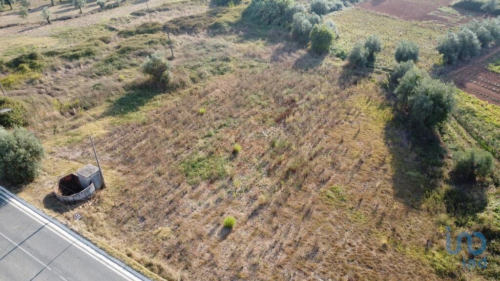 Plot / Land in Ferreira do Zêzere, Santarém