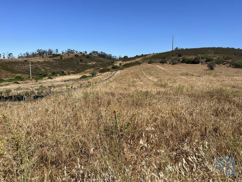 Perceel / Land in Vila do Bispo, Western Algarve