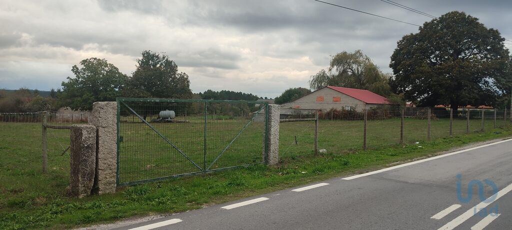 Perceel / Land in Moimenta da Beira, Viseu