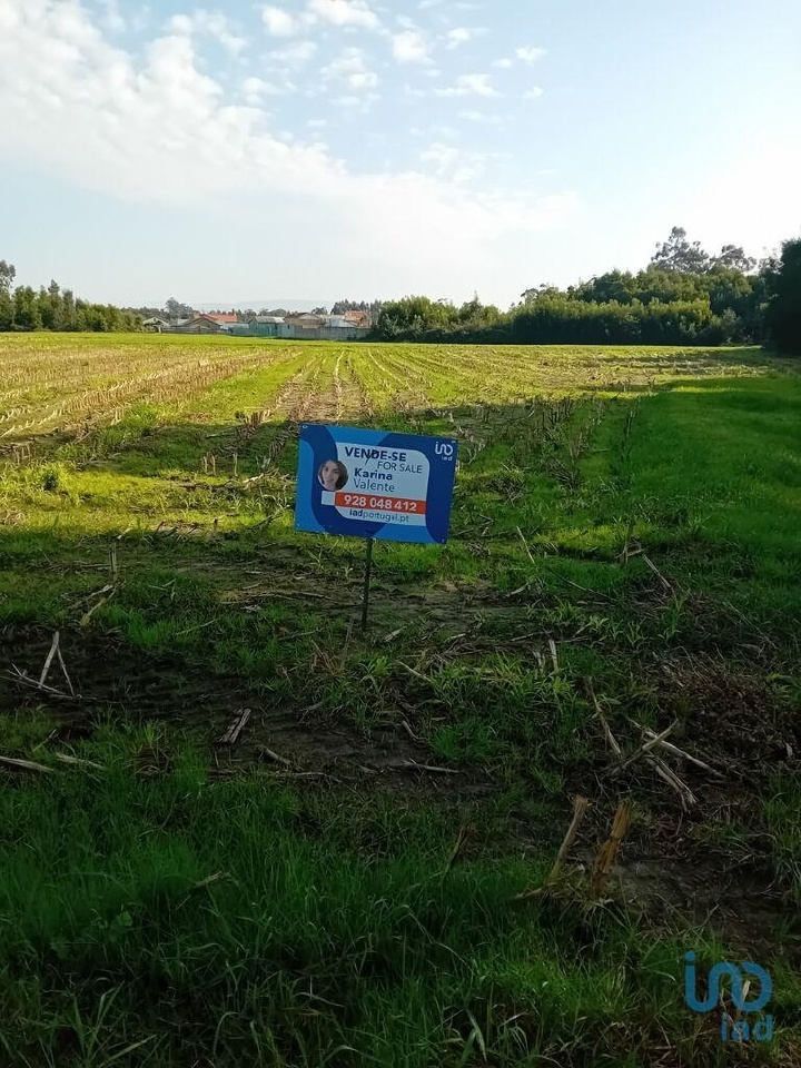 Plot / Land in Estarreja, Aveiro