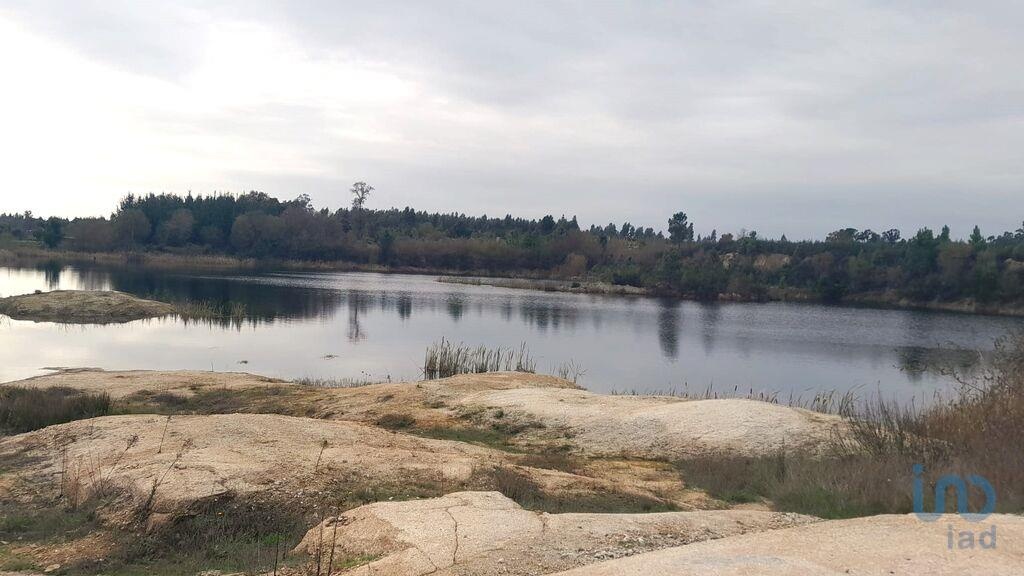 Plot / Land in Oliveira do Hospital, Coimbra