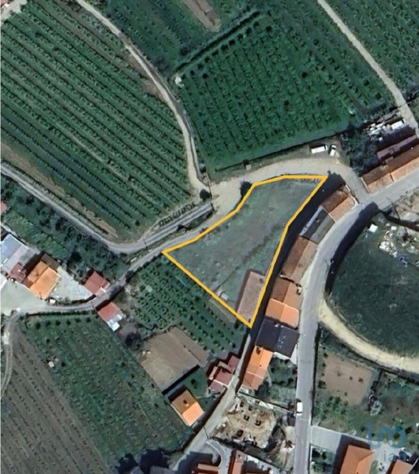 Plot / Land in Lamego, Viseu