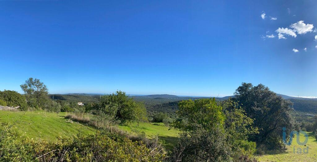 Plot / Land in São Brás de Alportel, Western Algarve