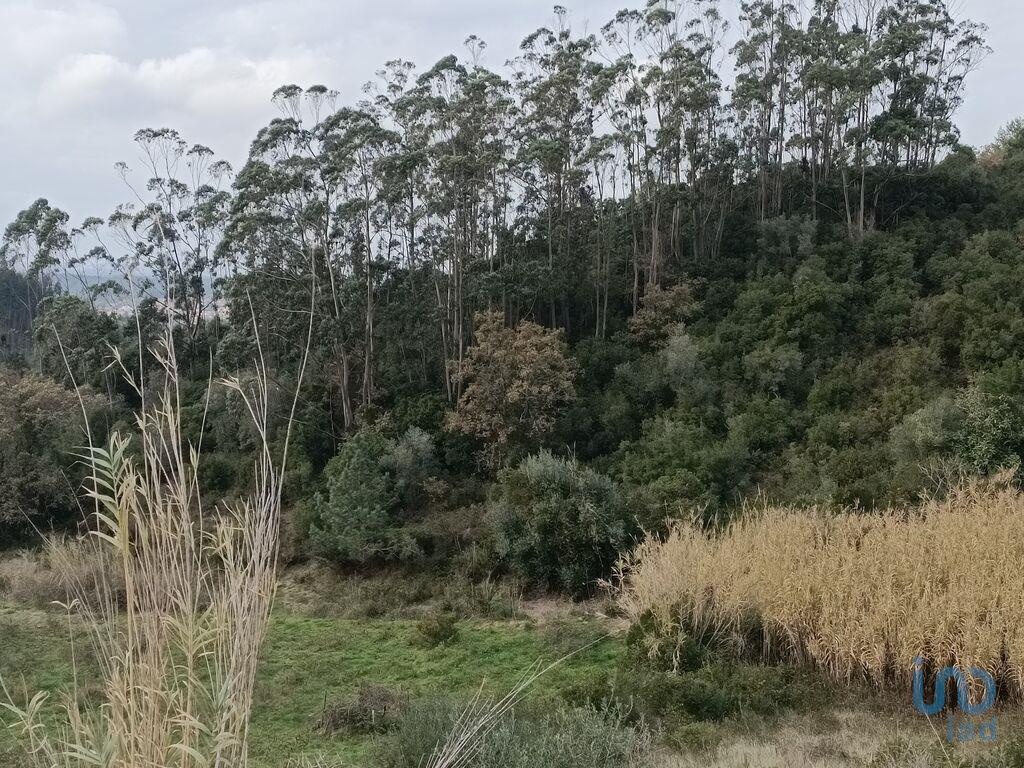 Plot / Land in Alenquer, Lisboa