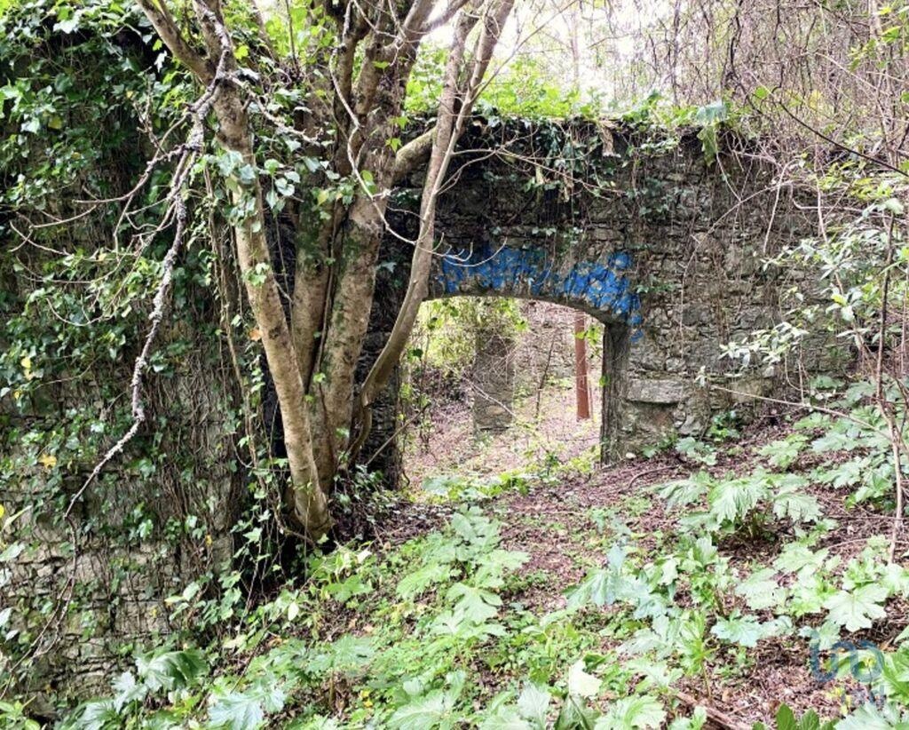 Plot / Land in Sintra, Lisboa