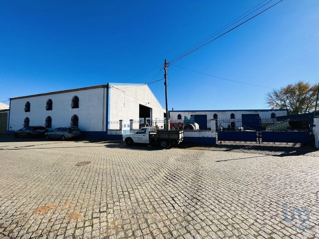 Commercial / Business in Beja