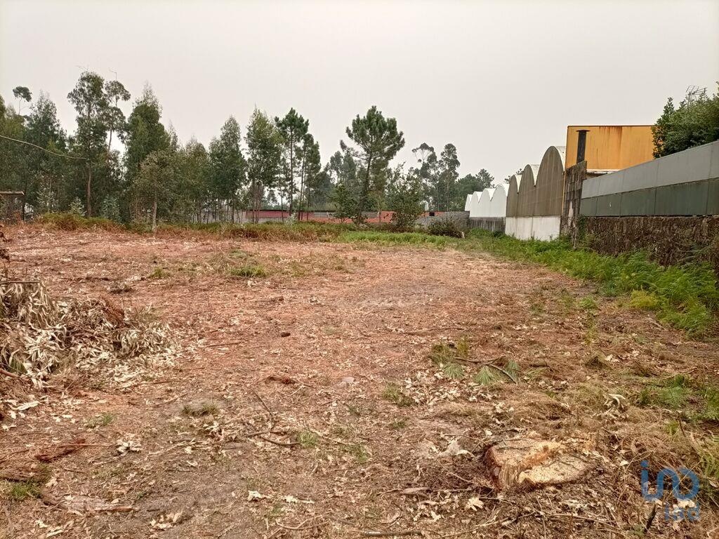 Perceel / Land in Viana do Castelo