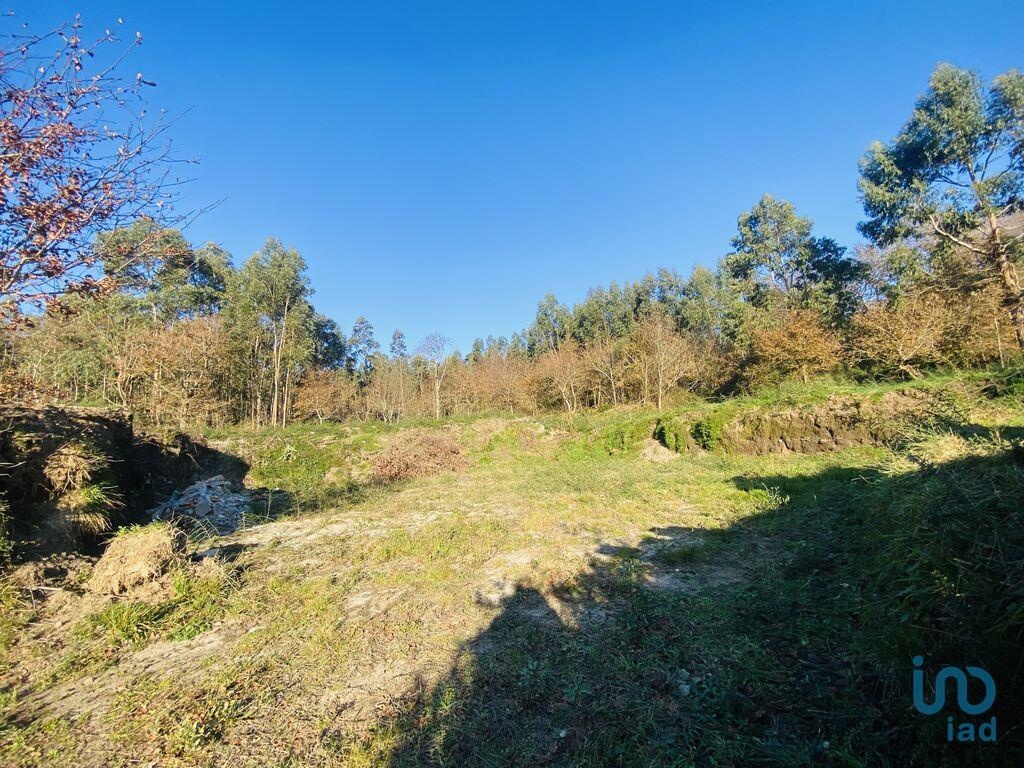 Perceel / Land in Vila Nova de Cerveira, Viana do Castelo