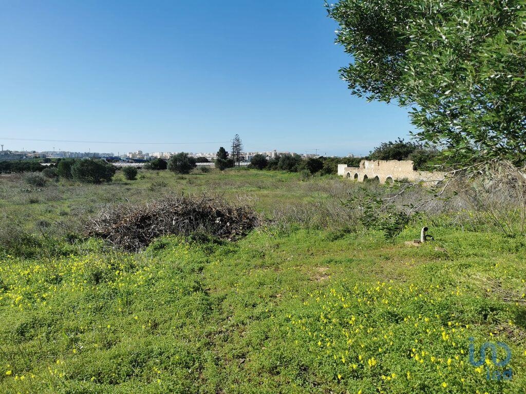 Plot / Land in Faro, Central Algarve