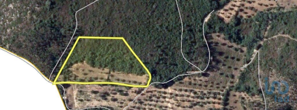 Plot / Land in Ferreira do Zêzere, Santarém