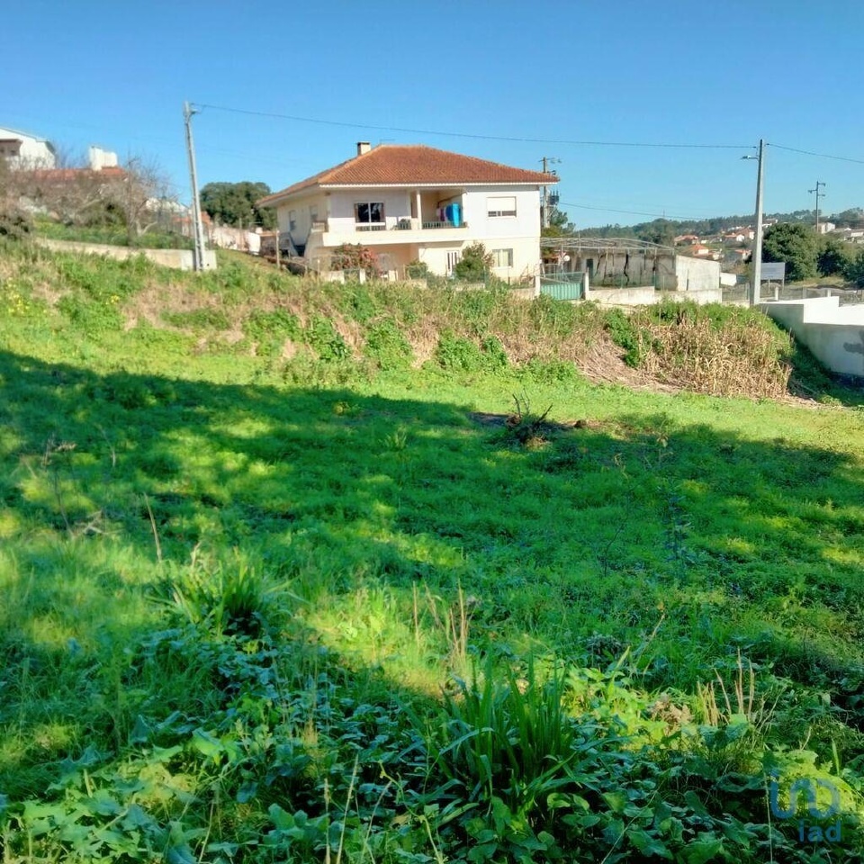 Plot / Land in Caldas da Rainha, Leiria