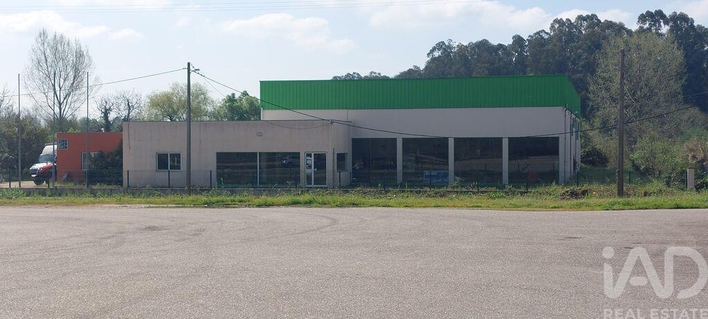 Commercial / Business in Cantanhede, Coimbra