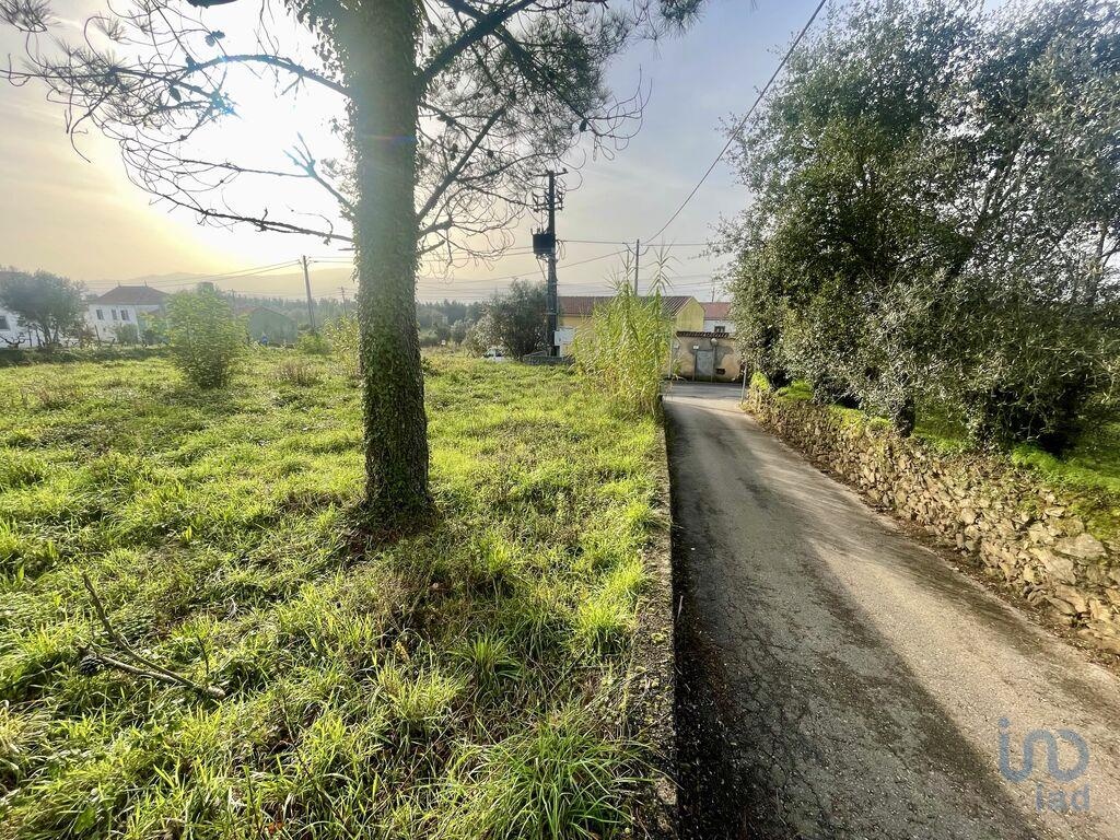 Plot / Land in Poiares, Vila Nova de Poiares, Coimbra