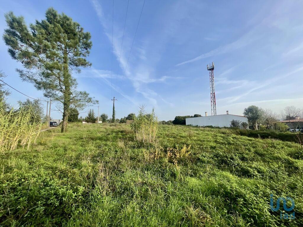 Perceel / Land in Poiares, Vila Nova de Poiares, Coimbra
