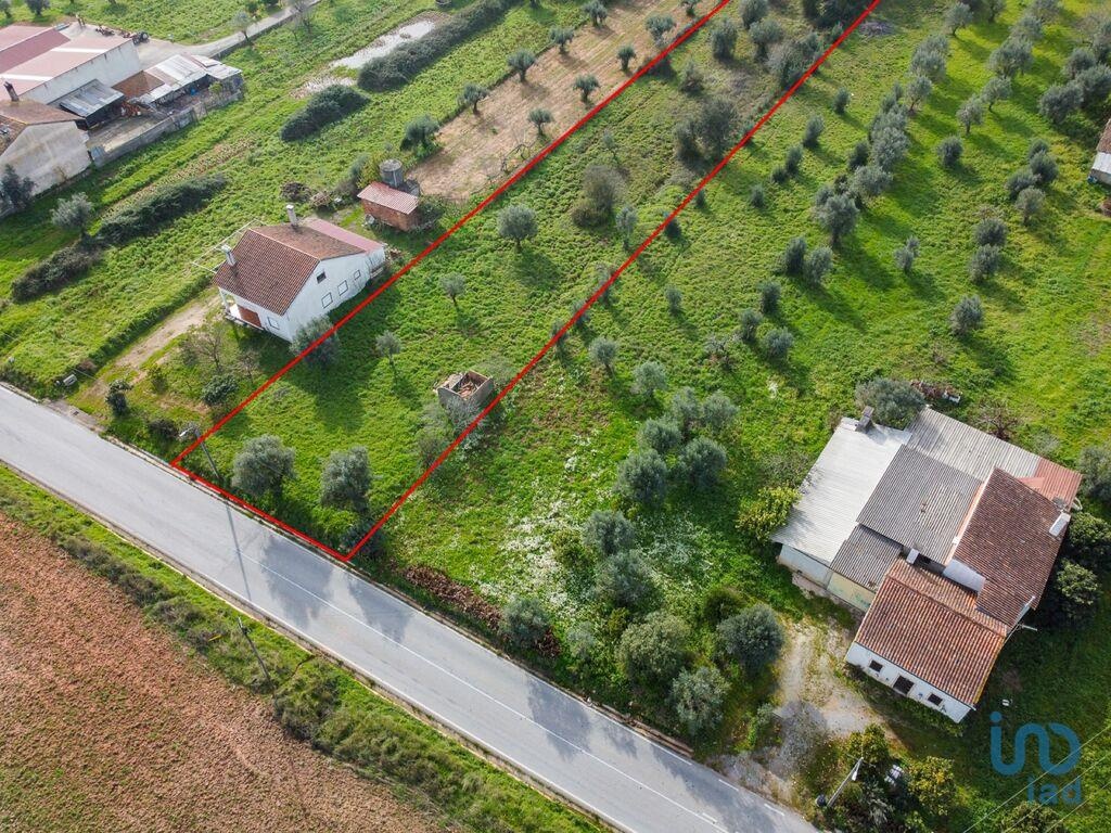 Plot / Land in Ferreira do Zêzere, Santarém