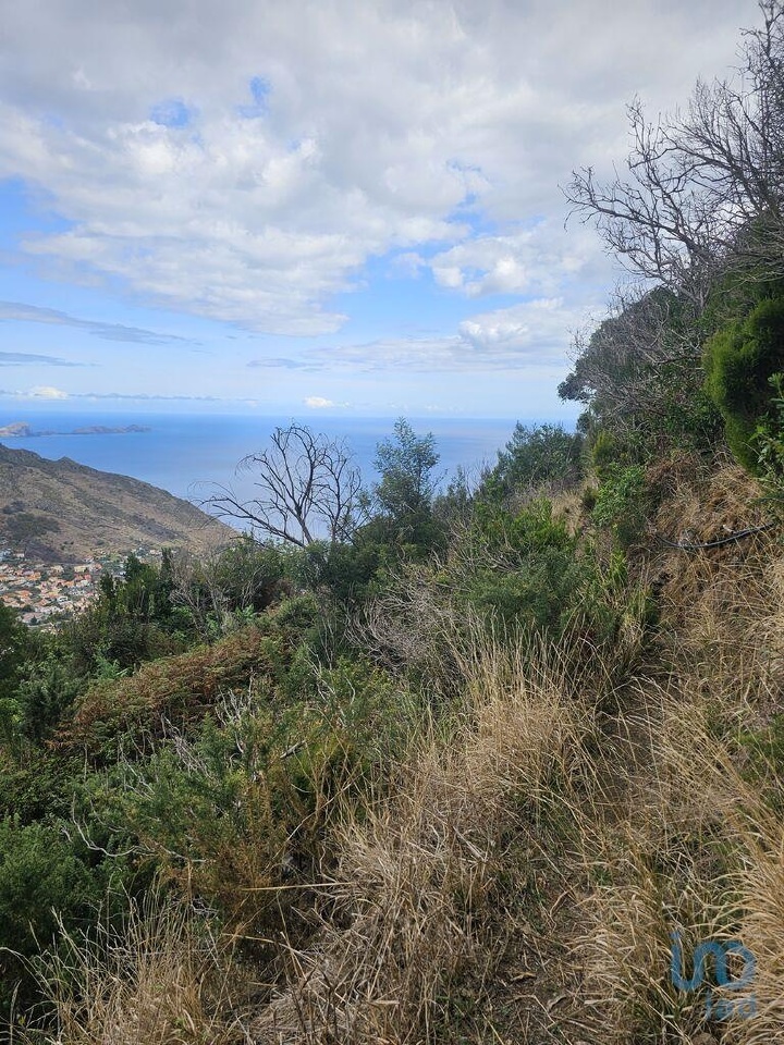 Plot / Land in Machico, Madeira