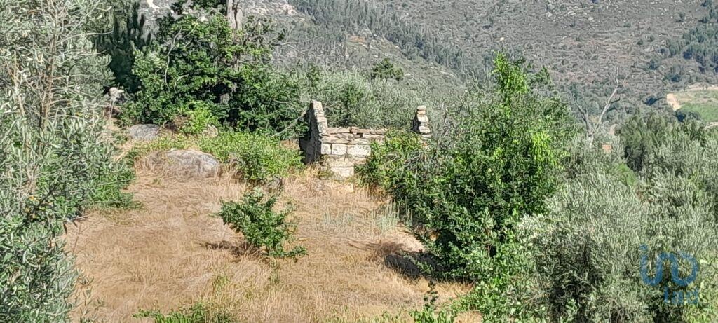 Perceel / Land in Oliveira do Hospital, Coimbra