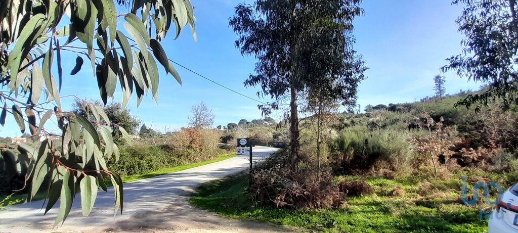 Plot / Land in Oliveira do Hospital, Coimbra