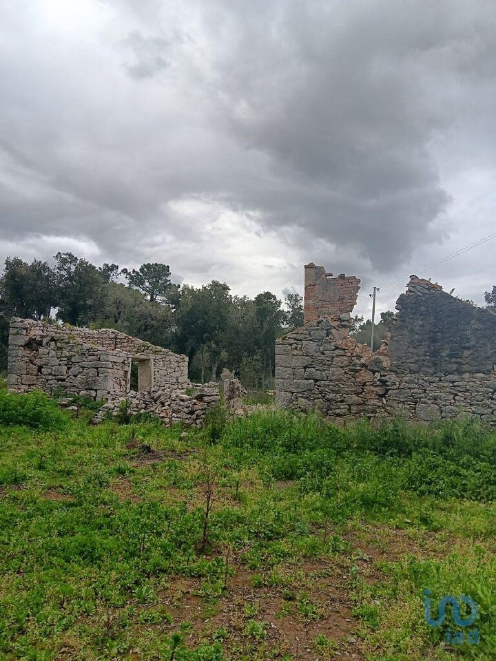 Plot / Land in Alcobaça, Leiria