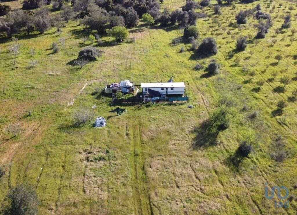Perceel / Land in Silves, Western Algarve