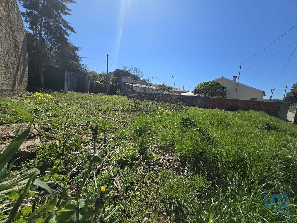 Plot / Land in Cadaval, Lisboa
