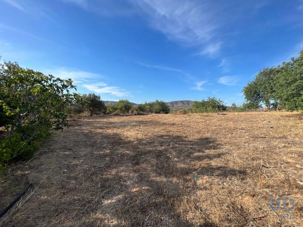 Plot / Land in Olhão, Eastern Algarve