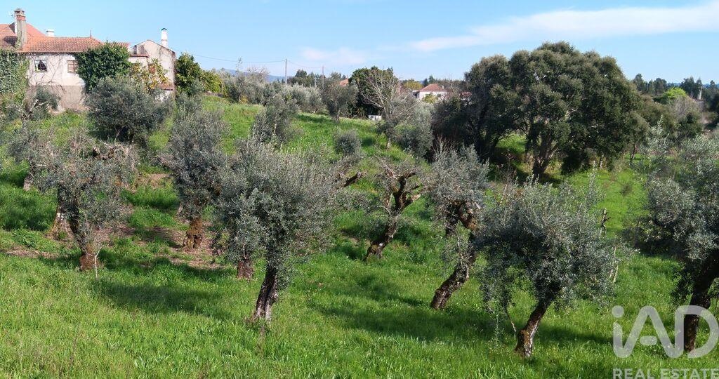 Plot / Land in Pedrógão Grande, Leiria