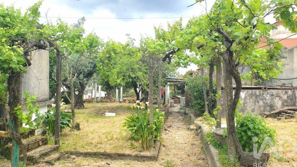 Plot / Land in Mação, Santarém