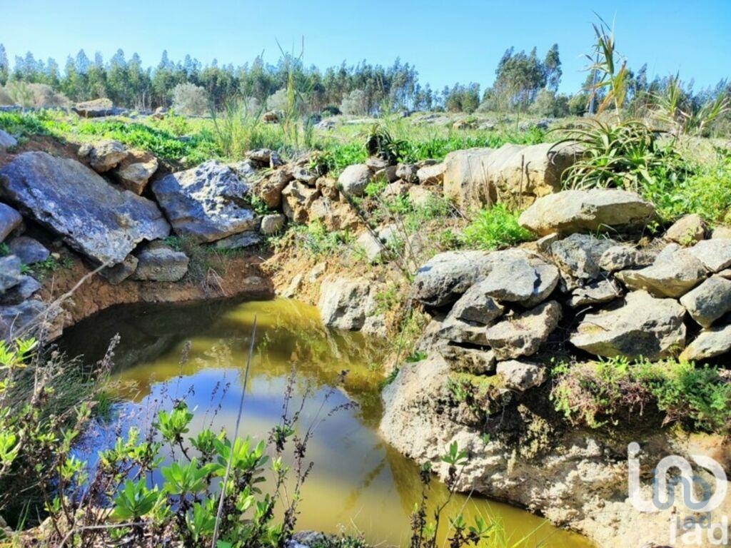Plot / Land in Lourinhã, Lisboa