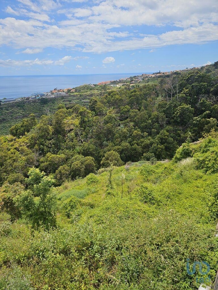 Perceel / Land in Santa Cruz, Madeira