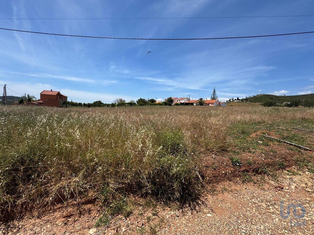 Perceel / Land in Silves, Western Algarve