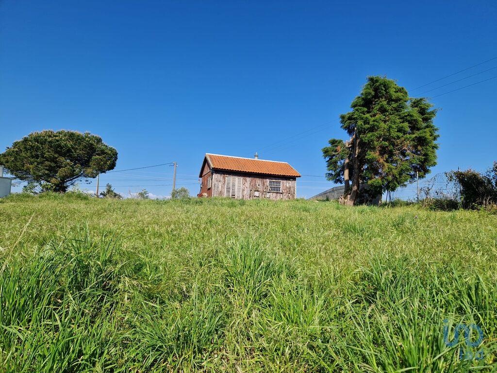 Plot / Land in Cadaval, Lisboa