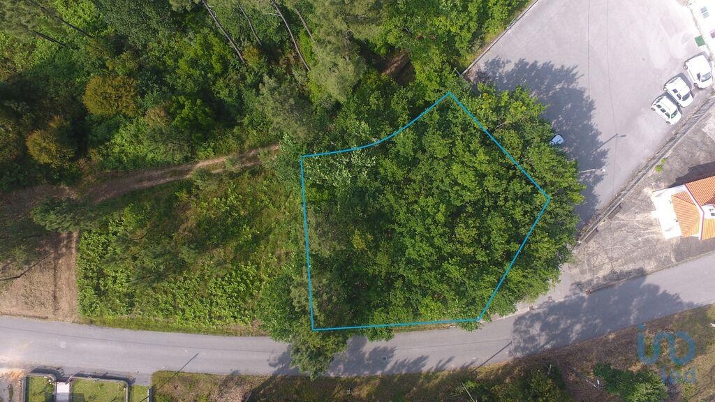 Plot / Land in Lousã, Coimbra