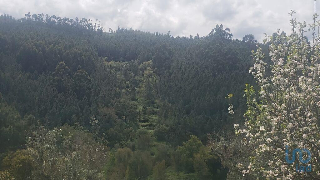 Plot / Land in Mação, Santarém