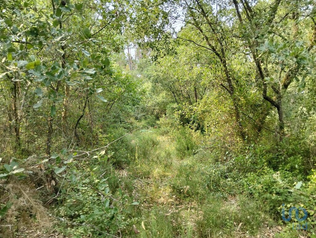 Plot / Land in Ferreira do Zêzere, Santarém