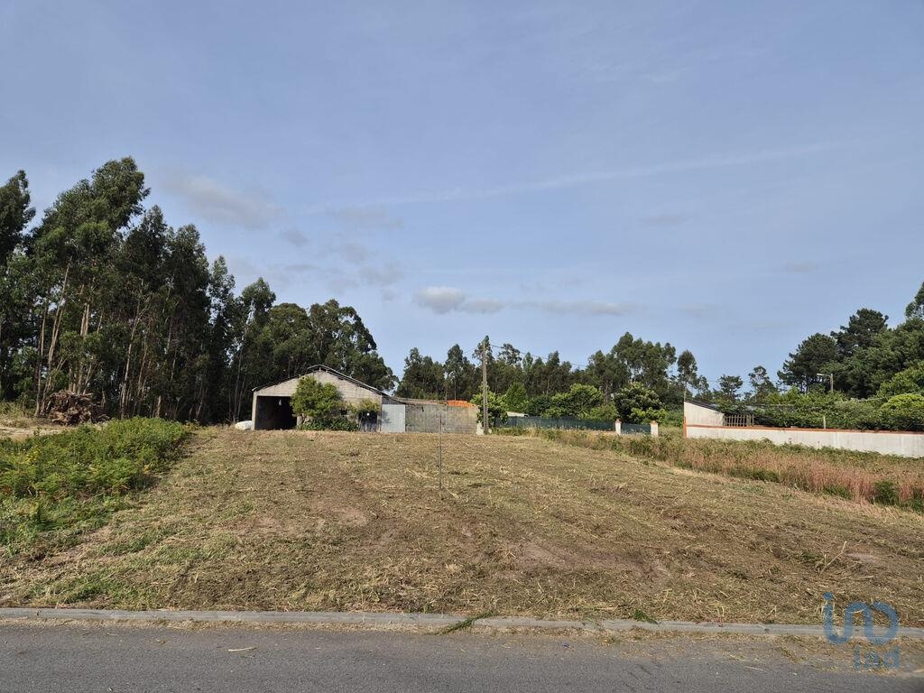 Plot / Land in Vagos, Aveiro